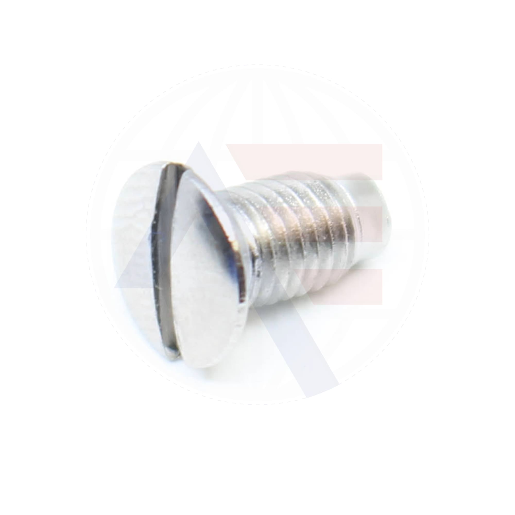 100032001 Screw